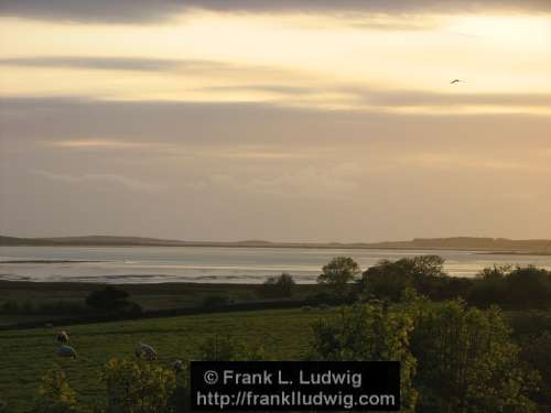 Sligo Bay 4